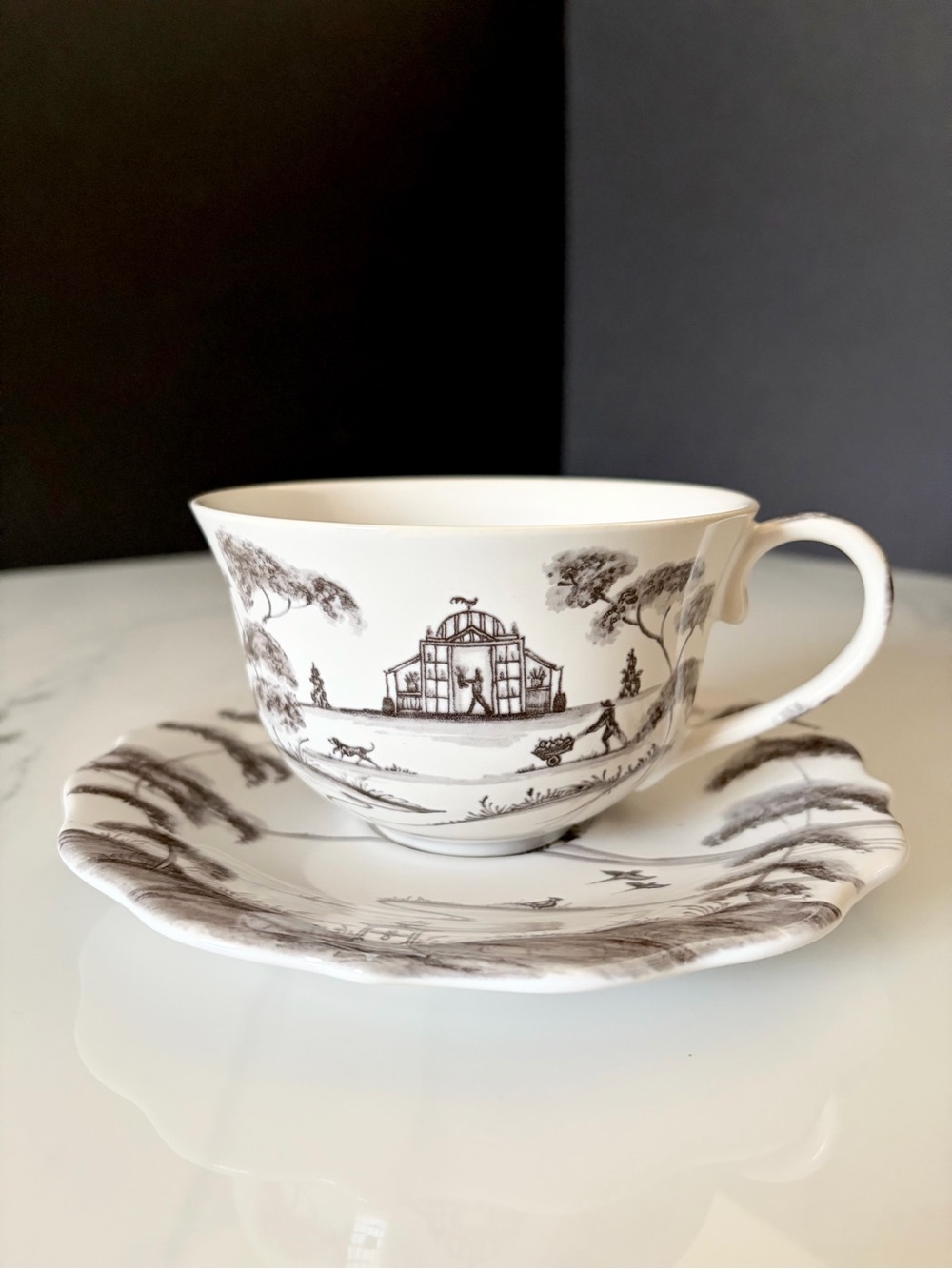 Country Estate Flint Grey Cup & Saucer by Juliska